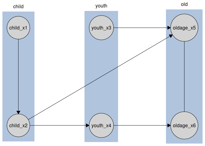 A causal graph with the known tiers indicated by vertical positioning of the nodes.